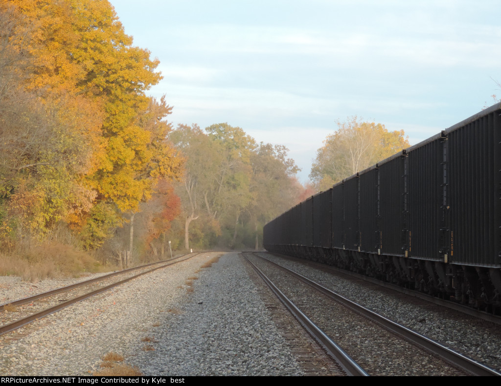 lots of coal cars 